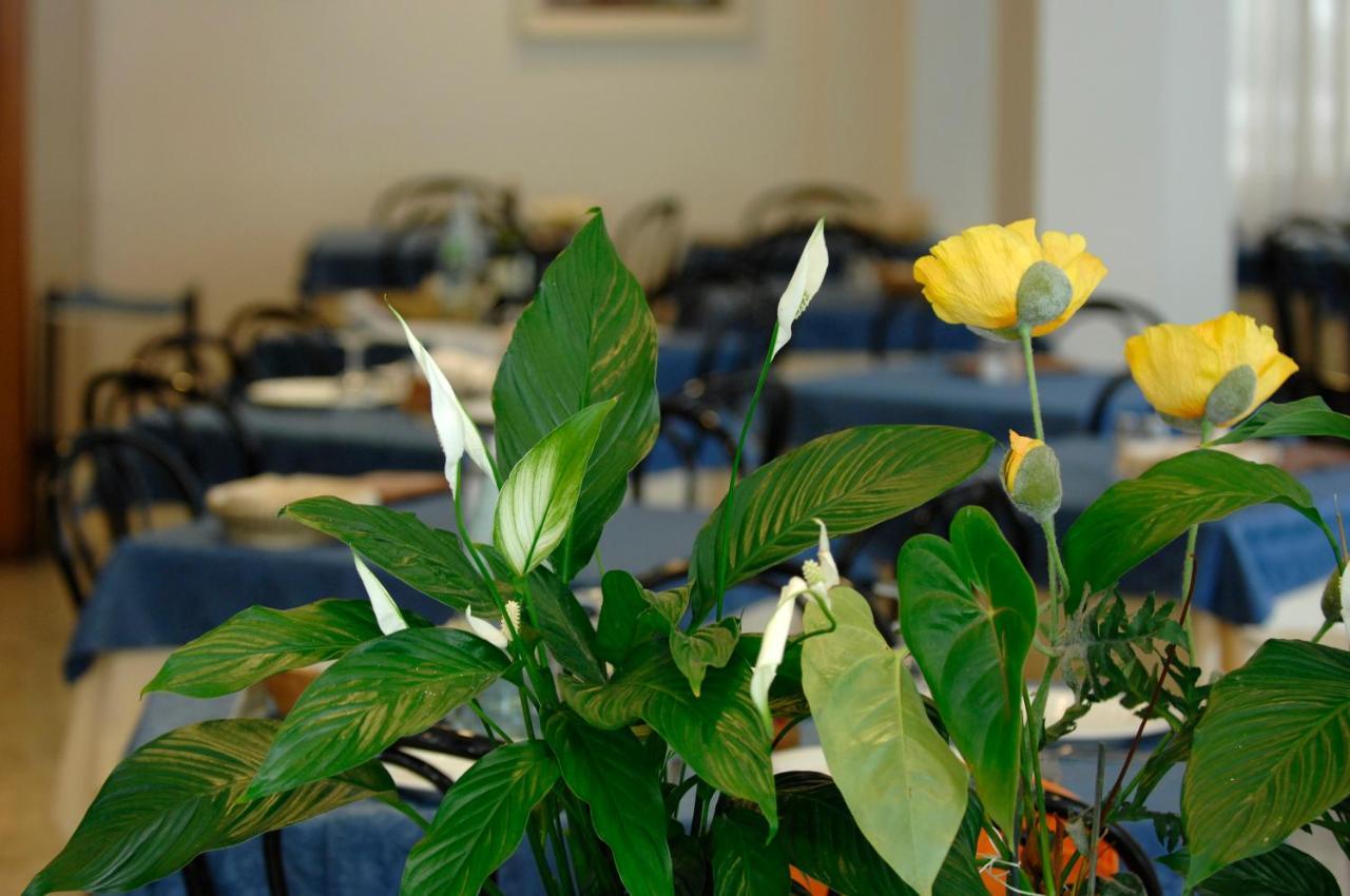 Hotel Sorriso Cattolica Dış mekan fotoğraf