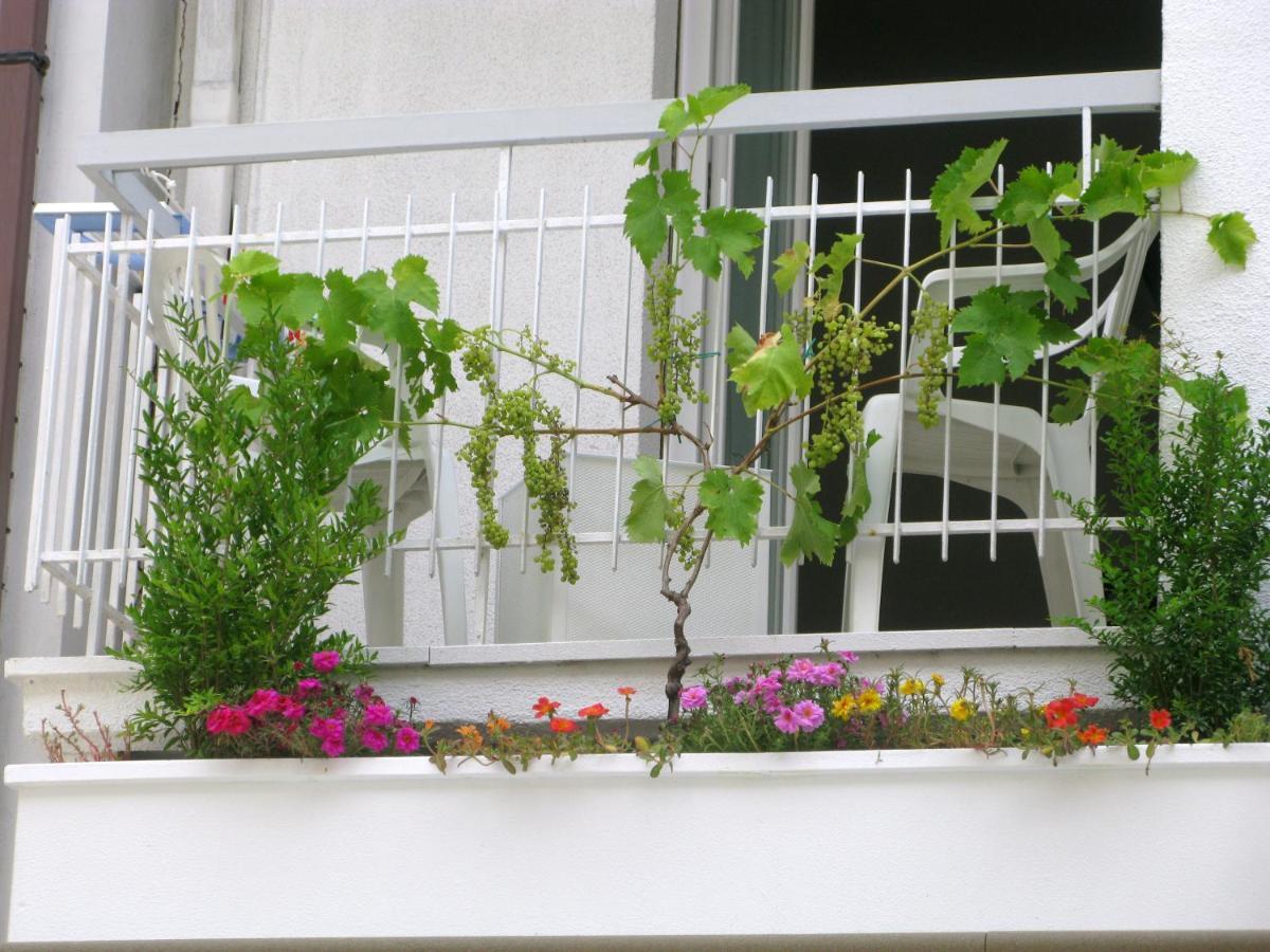 Hotel Sorriso Cattolica Dış mekan fotoğraf